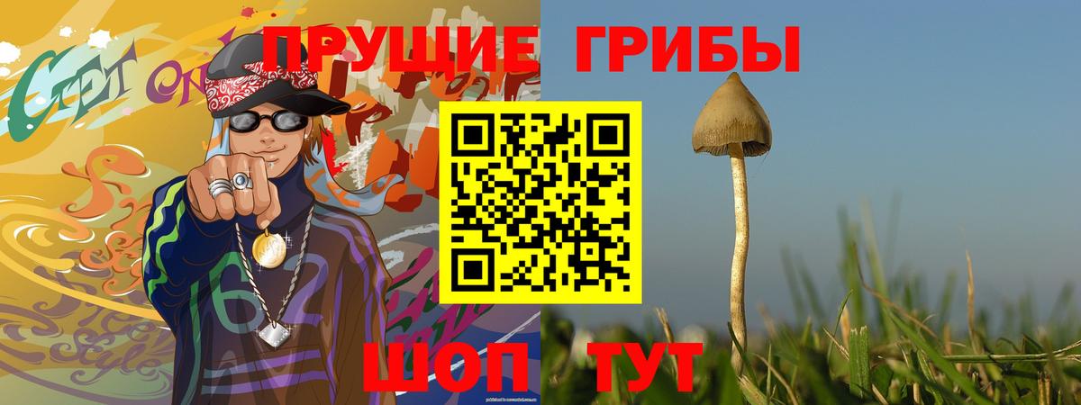Галлюциногенные грибы прущие грибы  даркнет сайт  Вход с VPN  Апшеронск  Псилоцибиновые грибы ЛСД 